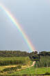 Hopfenfeld mit Regenbogen