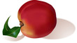 peach