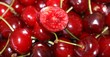 Summer Fruit