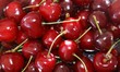 Berry