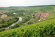 mainschleife