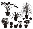 Home Plants Silhouettes