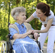 Senior woman in a wheelchair Senior woman in a wheelchair