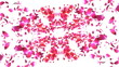 Kaleidoscope. Flying petals. Kaleidoscope. Flying petals.