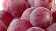 GRAPPE DE RAISIN ROUGE - PACKSHOT