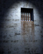 jailhouse cell window