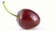CERISE - PACKSHOT