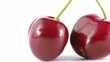 CERISES - PACKSHOT