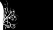 Floral animation3 B&W Floral animation3 B&W