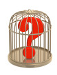 Question mark