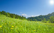 Photo: österreichisches Bergpanorama österreichisches Bergpanorama
