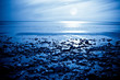 Moonlight Bay
