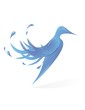 Bird of water in a white background. Illustration. Bird of water in a white background. Illustration.