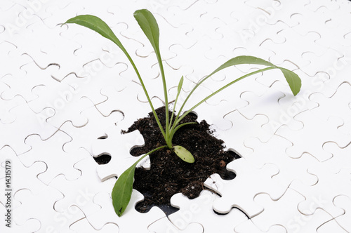 Photo: Puzzle with sprout Puzzle with sprout
