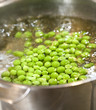 petits pois cuisinés