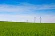 canvas print picture Wind turbines farm in green field over cloudy sky