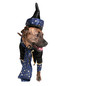 wizard dog