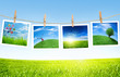 ecology concept