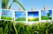 ecology concept