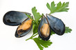 two mussels with parsley two mussels with parsley