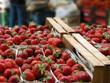 Erdbeeren