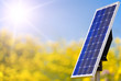 Solar panels in a yellow field Solar panels in a yellow field
