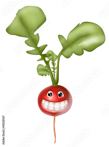 Illustrazione: rapanello smile rapanello smile