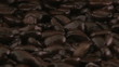 High Definition Stock Footage of coffee beans
