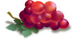 grapes