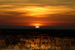 Sunrise in Louisiana #2