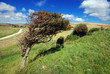 Beautiful summer landscpae Beautiful summer landscpae