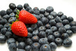 Two Strawberry on blueberry background