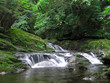 waterfall stream waterfall stream