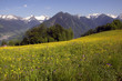 Val Gerola - Sondrio