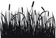 Grass vector silhouette