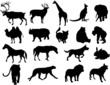 Animal silhouettes