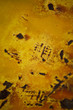 Grunge background