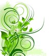 Green floral background Green floral background