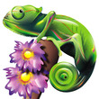 Camaleonte-Chameleon-Caméléon-Cartoon