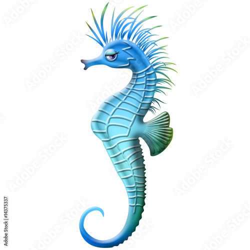 cartoon seahorse. Seahorse-Ippocampe-Cartoon