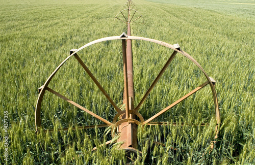 Photo: Irrigation system in wheat field Irrigation system in wheat field