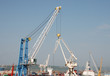 Harbour Cranes, Koper
