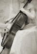 vintage cello vintage cello
