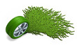 Tyre and grass