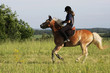 Equitation en pleine nature