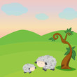 Sheep and lamb