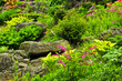 Photo: Rock garden Rock garden