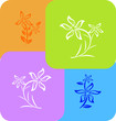 set of flower pattern on different colour tile set of flower pattern on different colour tile