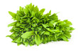 Photo: Ramson fresh leaves Ramson fresh leaves