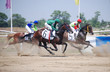 Photo en ligne au meilleur prix exciting horse racing